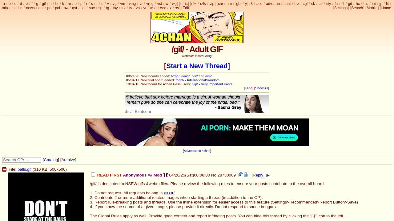 4Chan Adult GIF