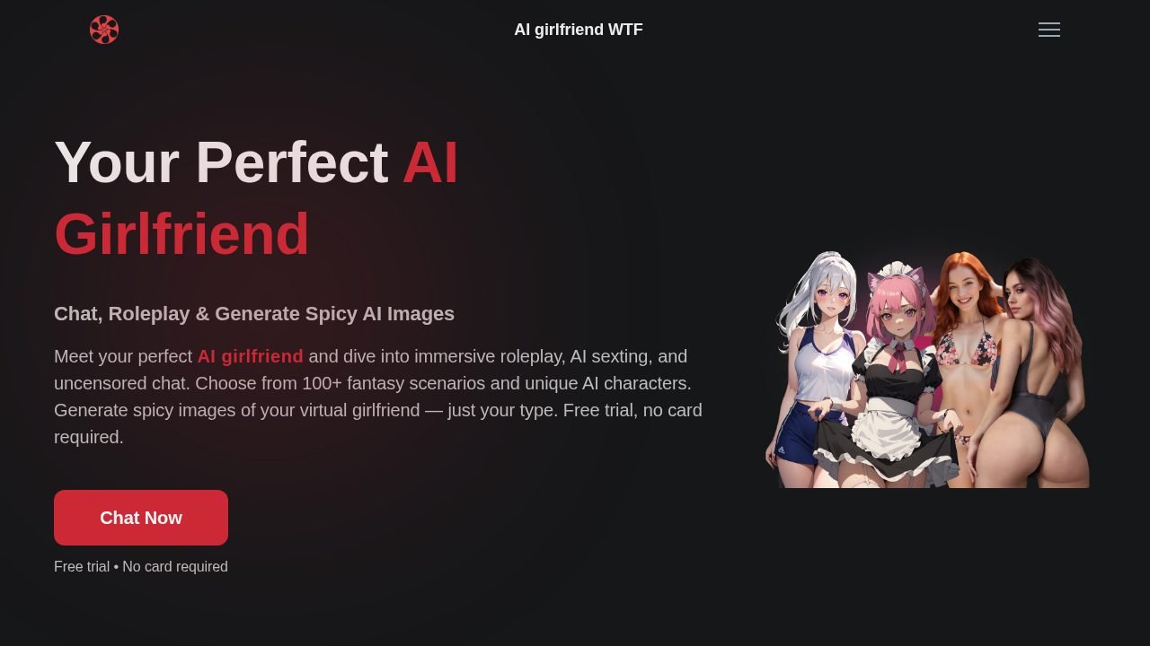 AI Girlfriend WTF