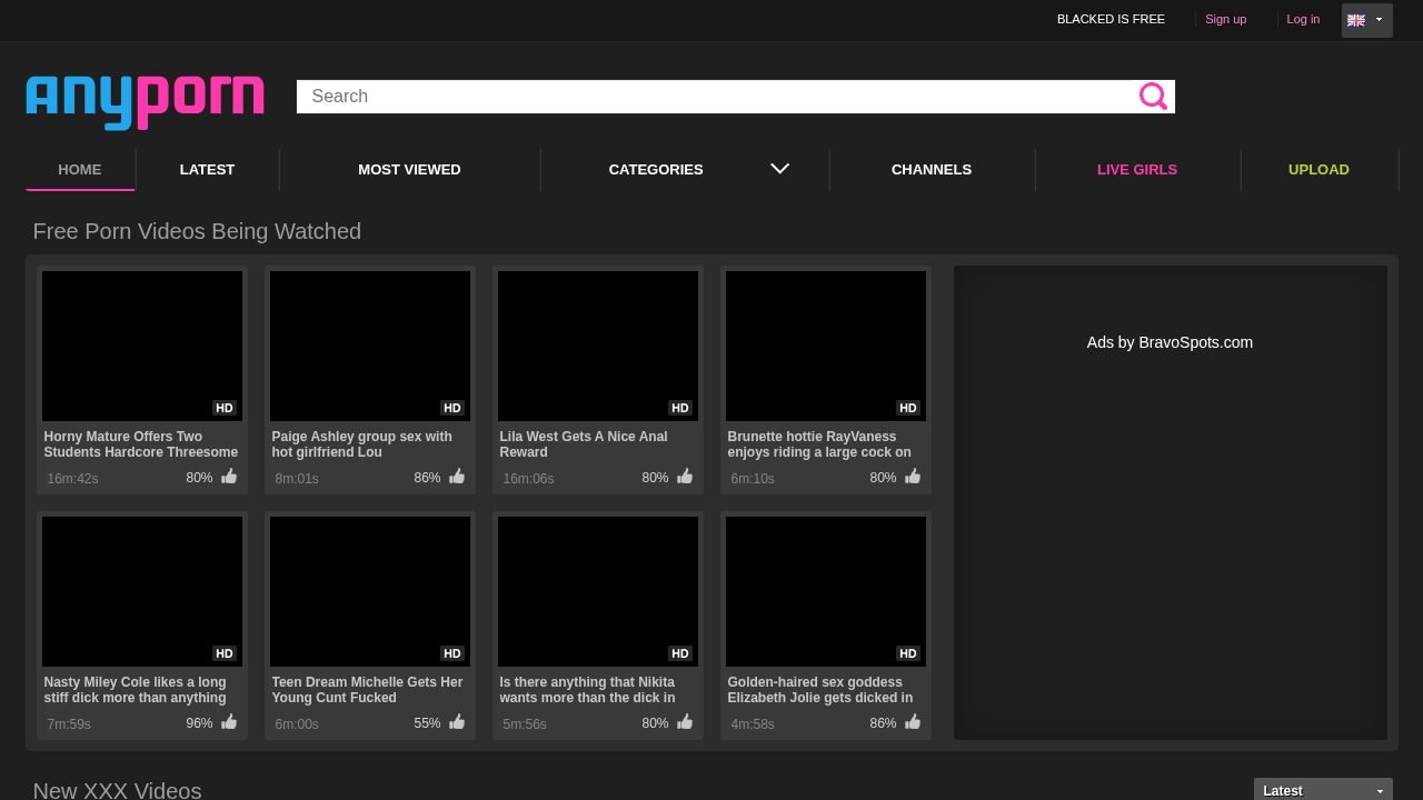 AnyPorn